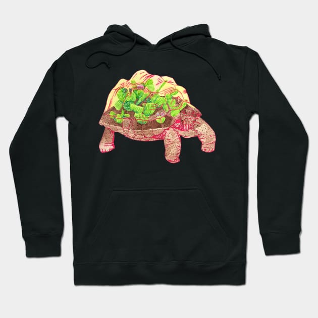 Tortoise Terrarium Hoodie by RaLiz